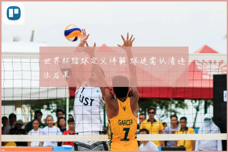 世界杯赌球定义详解 球迷需认清违法后果