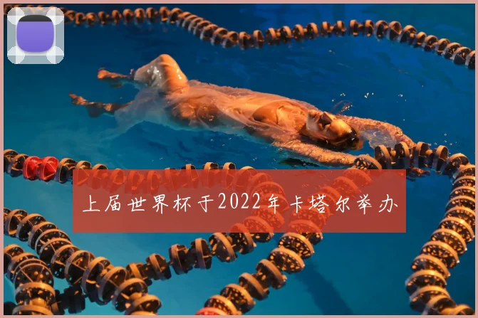 上届世界杯于2022年卡塔尔举办