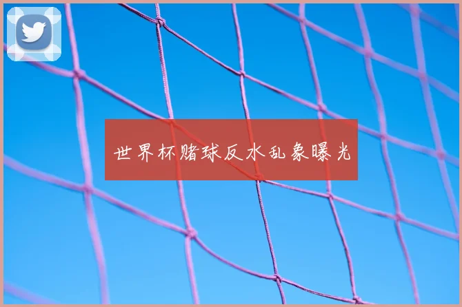 世界杯赌球反水乱象曝光