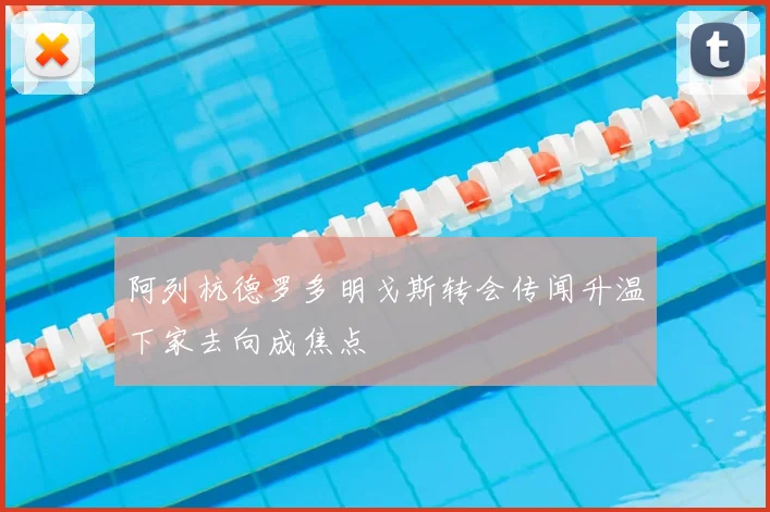 阿列杭德罗多明戈斯转会传闻升温下家去向成焦点