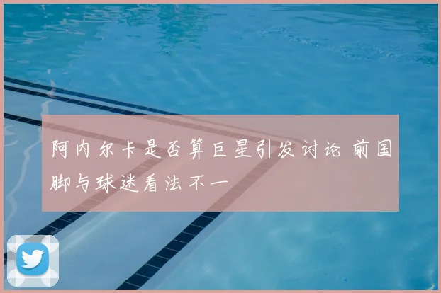 阿内尔卡是否算巨星引发讨论 前国脚与球迷看法不一