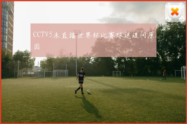 CCTV5未直播世界杯比赛球迷追问原因