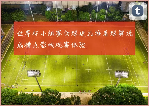 世界杯小组赛伪球迷扎堆看球解说成槽点影响观赛体验