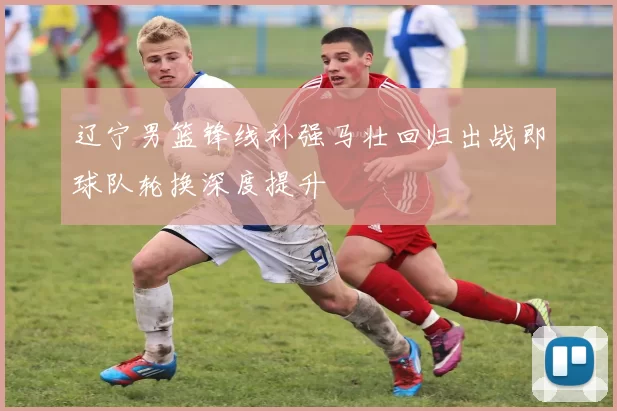 辽宁男篮锋线补强马壮回归出战即球队轮换深度提升