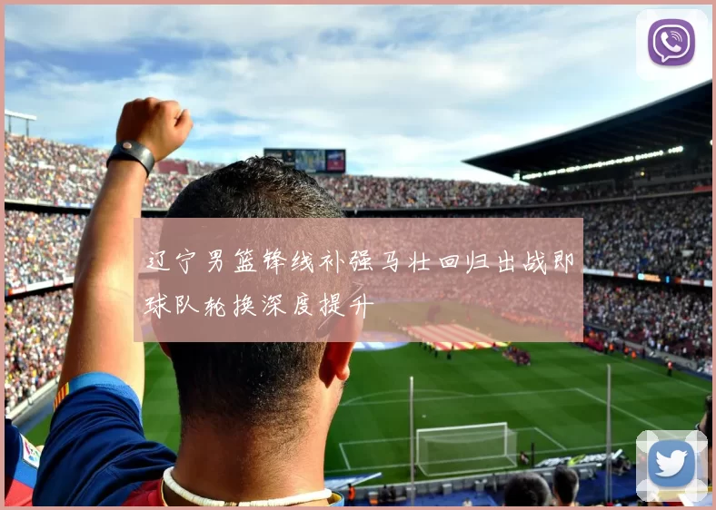 辽宁男篮锋线补强马壮回归出战即球队轮换深度提升